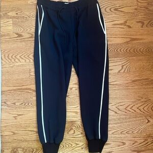 Aritzia Wilfred Black Jogger